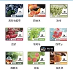 【買五盒送主機】梟客XIAOKE 五代煙彈 15種口味可選 兼容四代五代主機 三顆裝