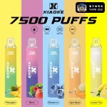 【17種口味】XIAOKE梟客 7500口 拋棄式電子菸 炫酷發光 重複式充電 台灣現貨