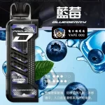 【15種口味】冰熊卡帶煙彈15000口15ML | ZGAR PROJECT-D電子煙煙彈 可拆卸 磁吸換彈 | 超長續航電子菸設備