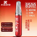 【冰爽西瓜】XIAOKE梟客拋棄式電子煙8500口-口紅款