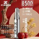 【山楂】XIAOKE梟客拋棄式電子煙8500口-口紅款