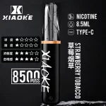 【草莓菸草】XIAOKE梟客拋棄式電子煙8500口-口紅款