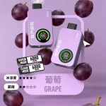 SP2S Apollo 12000口拋棄式電子煙-葡萄