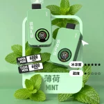 SP2S Apollo 12000口拋棄式電子煙-薄荷